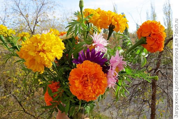 Осенний букет имениннице, соседке (между нашими столицами Омск-Новосиб всего-то 650 км)