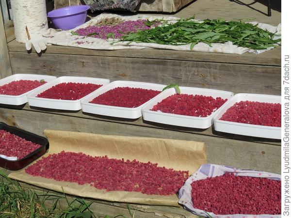 Например, у меня появилась сушилка. Это так здорово! Такая экономия времени и нервов! И главное результат замечательный.