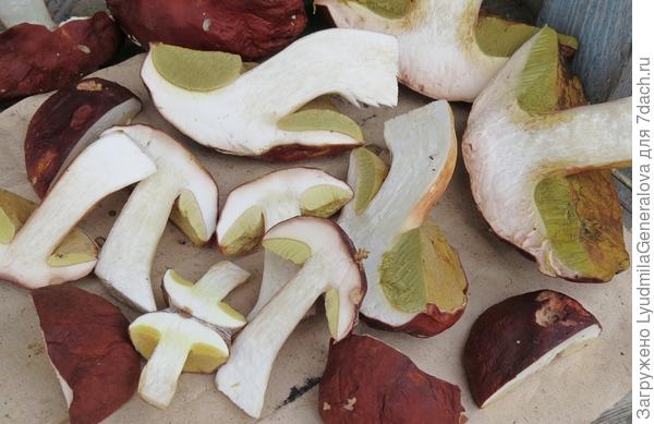 Готовим к сушке. Высушенные боровики имеют особенный насыщенный аромат с ореховым привкусом. Стойкий аппетитный грибной запах сохраняется долго, поэтому  предпочтение отдаю сушёным.