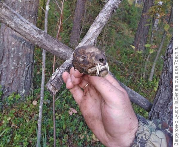 Вот эта мумия.