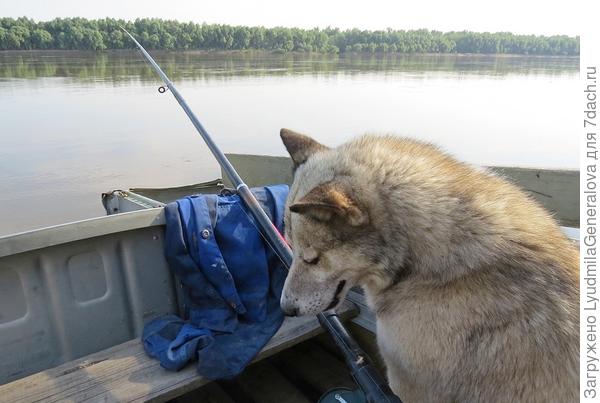 И в лодке со мной