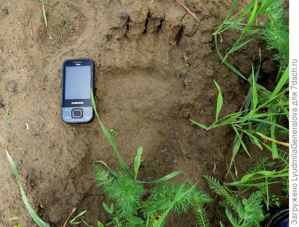 После хорошего ливня  -- след