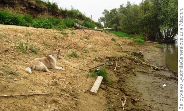 Внимание: Рыба подплывает и.... клюёт! Ей богу, клюёт!