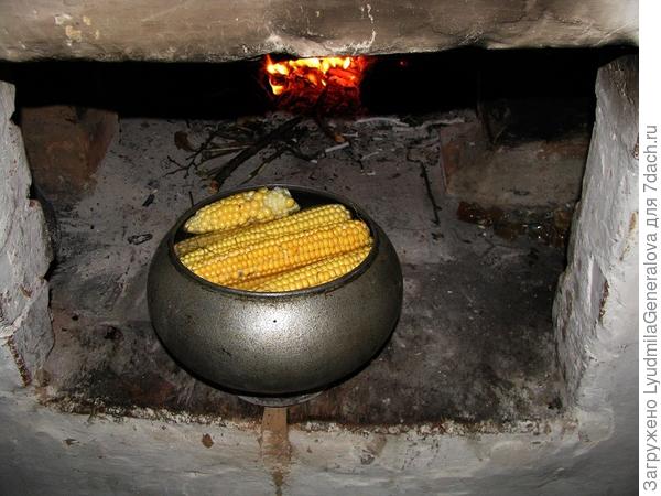 К моей раритетной &quot;микроволновке&quot; парочка чугунков имеется.