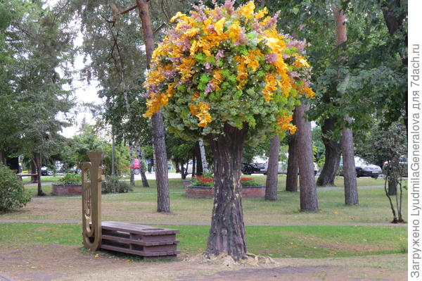 Вот такими деревами украшали, всё это пена и искусственные цветы. К сожалению. Но... зато еще стоят.