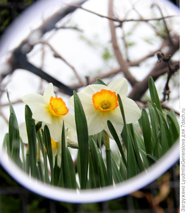 Весеннее. Ещё и листочков нет на деревьях.