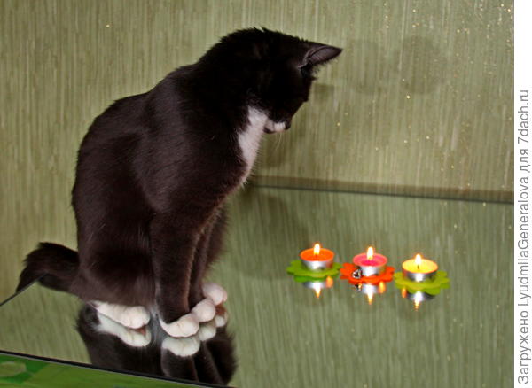 На журнальном столике с зеркальной поверхностью. Это правда не сегодняшнее фото. Но зеркало может приумножить красоту, особенно вечером.