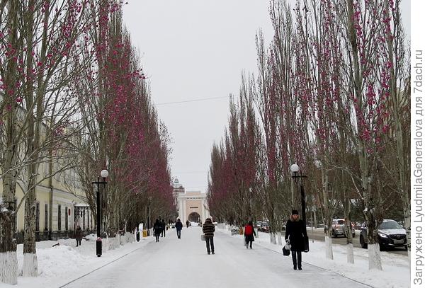 Летом было красиво, осенью в желтой листве тоже, даже зимой в солнечный день этот креатив притягивает взгляды.