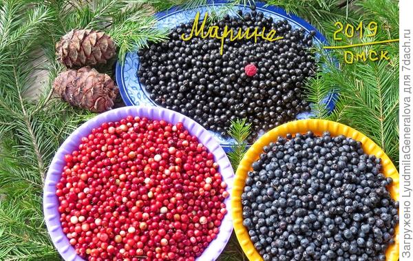 Пока искала фотку, ты уже успела отказаться в пользу лотка... Но всё равно задарю на память.