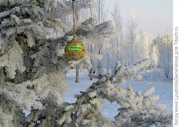 Новогодняя открытка. Зимняя природа. В далеке - пирамидальные тополя.