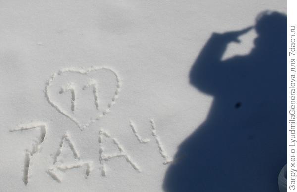 Честь имею быть в рядах Семидачников