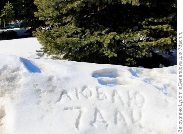 Люблю &quot;7 дач&quot;