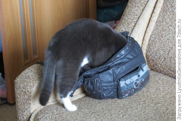 С проверкой...