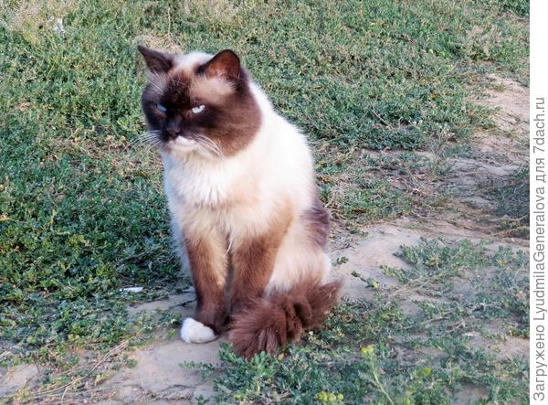 С таким не забалуешь!