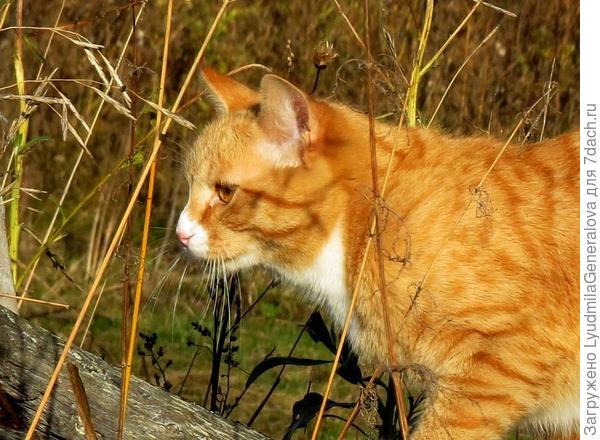 Сфокусировался только на объекте, привлекшем его внимание.