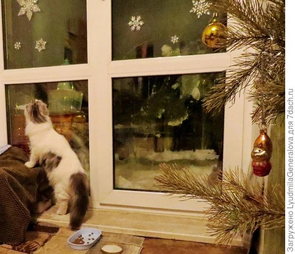 Что это там на окне?