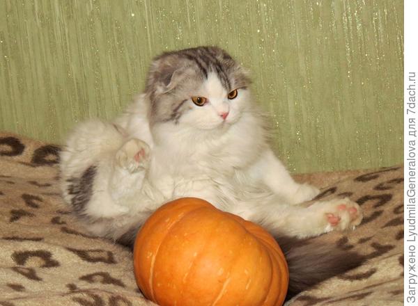 Вместо барабана её использовать?