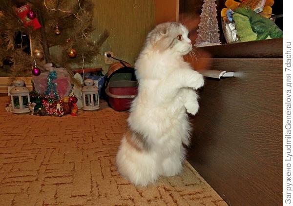 Что это за зелёное чудовище?