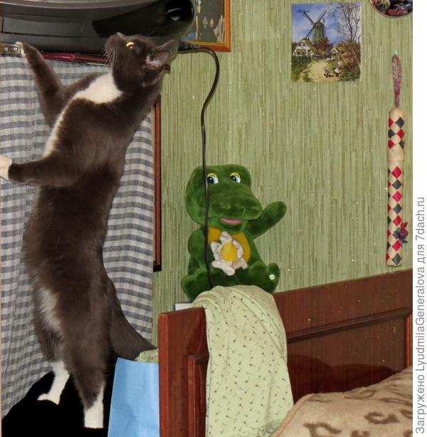 Кто же там поёт?!