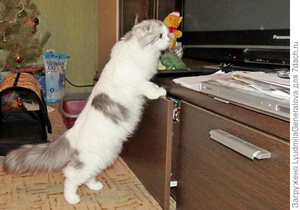 Странно, почему этот экран не светится? Маленький экран светится почти сутками.