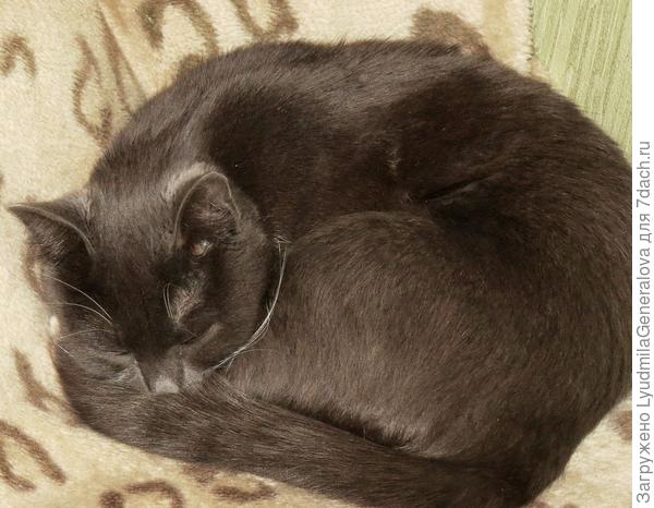 Спят наши сокровища.