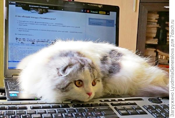 Могут зависнуть с мыслью "о Татьянином дне". Кто же эта Татьяна?