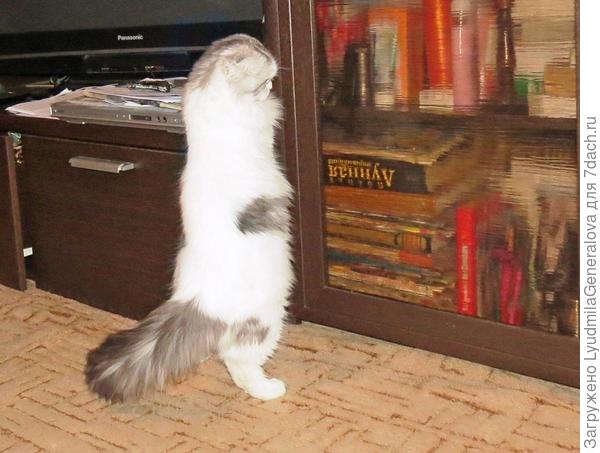 Почему мы книги променяли на экран. Шутка, конечно. Но в каждой шутке...