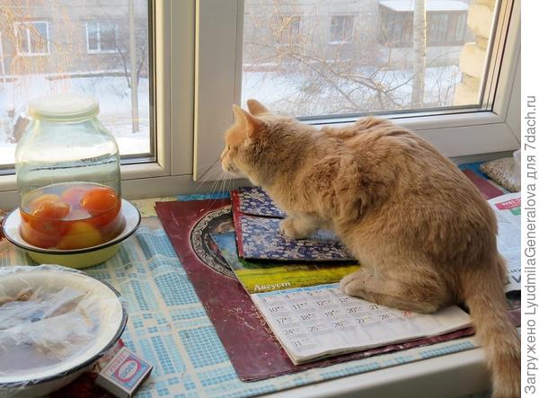 Азарт охотника