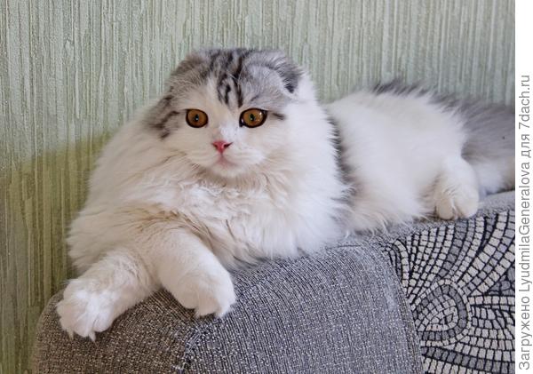 Ты хоть на часы смотришь? Подозреваю:  режим самоизоляции тебя не напрягает. Из-за этого фотомарафона ты обрекла нас на "карантин невнимания"!