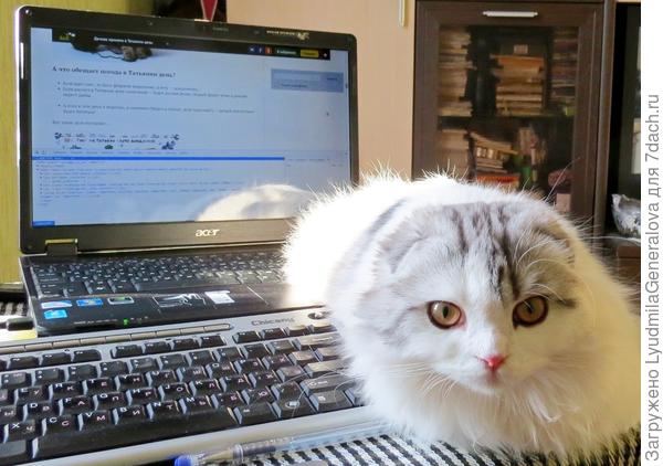 Сначала на тебя внимательно смотрят