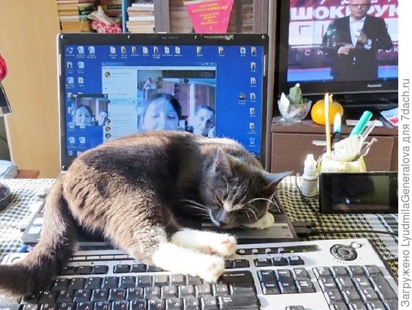 "Всё моё", -  наверное сказала Соня, и  перекрыла "кислород". Всем спать!