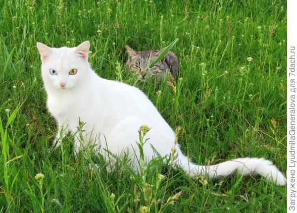 Фото уже было в фотоконкурсе. Пусть будет и в фотомарафоне.