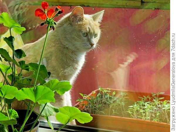 Всё под контролем!