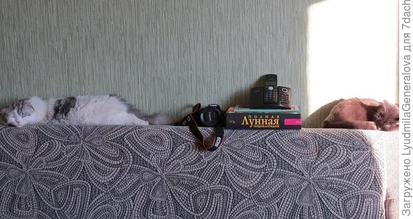 Еле поместились в кадре!