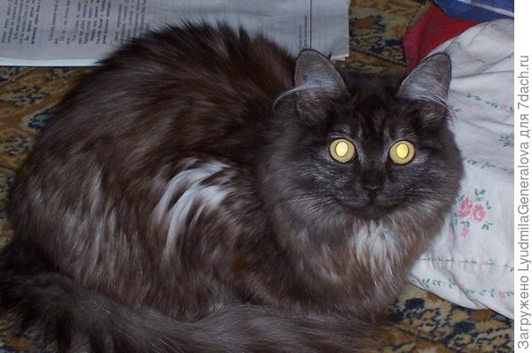 Осталось несколько фотографий и тёплые воспоминания.