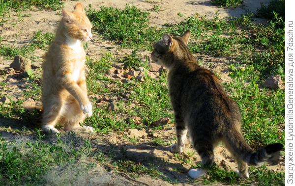 Ох, и попадёт сейчас!