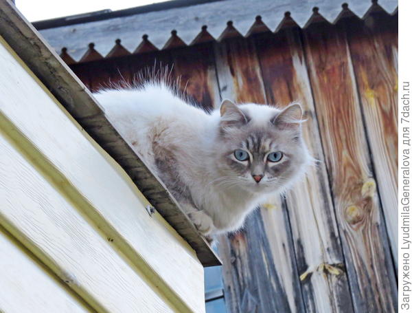 Теперь взглядом удостоили и меня.;):D