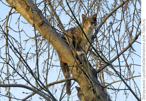 О, наконец настал тот час, когда я здесь и вижу вас, едва надеясь на взаимность!