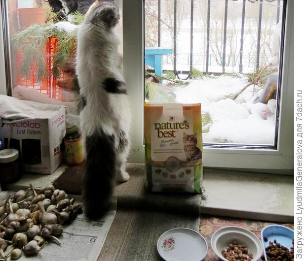 Не бойтесь, выходить не буду. Я свежим воздухом дышу.