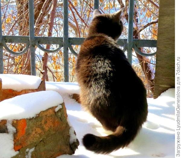 Запахло весной...