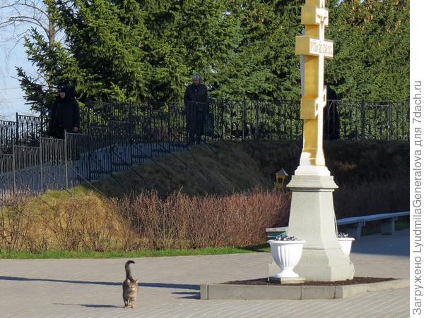 Вот он идёт от святой канавки.