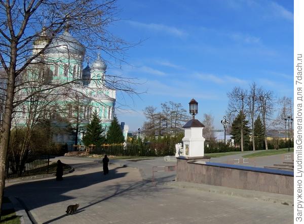 Встретить котов можно в любом уголке Дивеевского монастыря, они там в полной безопасности. Может они там на службе состоят?