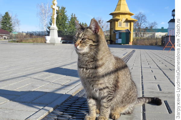 Как шёл неторопливой походкой, так же спокойно по-хозяйски стал осматривать по периметру площадь.
