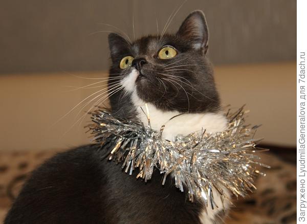 Я тоже бегу... Только носик припудрю...