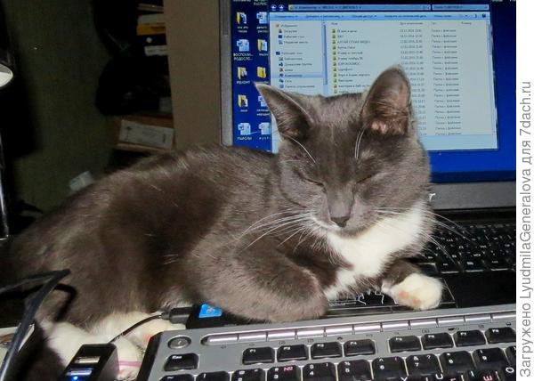 А уже смотреть не могу на этот экран. Скоро бросаться на него буду, как на амбразуру!!