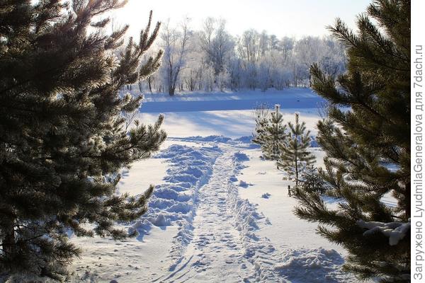 По заснеженному руслу реки на снегоходе - как по автобану!