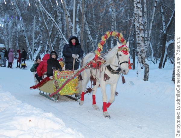 На тройке с бубенчиками не только дети любят кататься