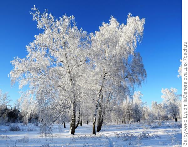 Иней волшебник