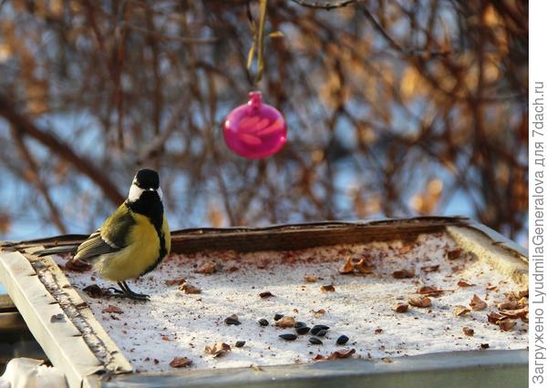 А добавка будет?