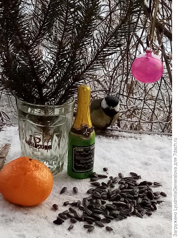 Разведчица